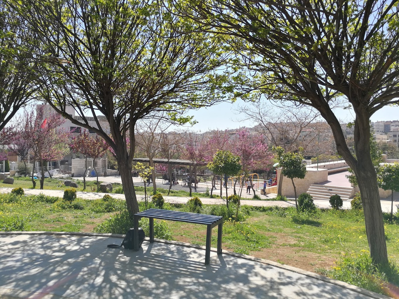picnic barbecue Amman